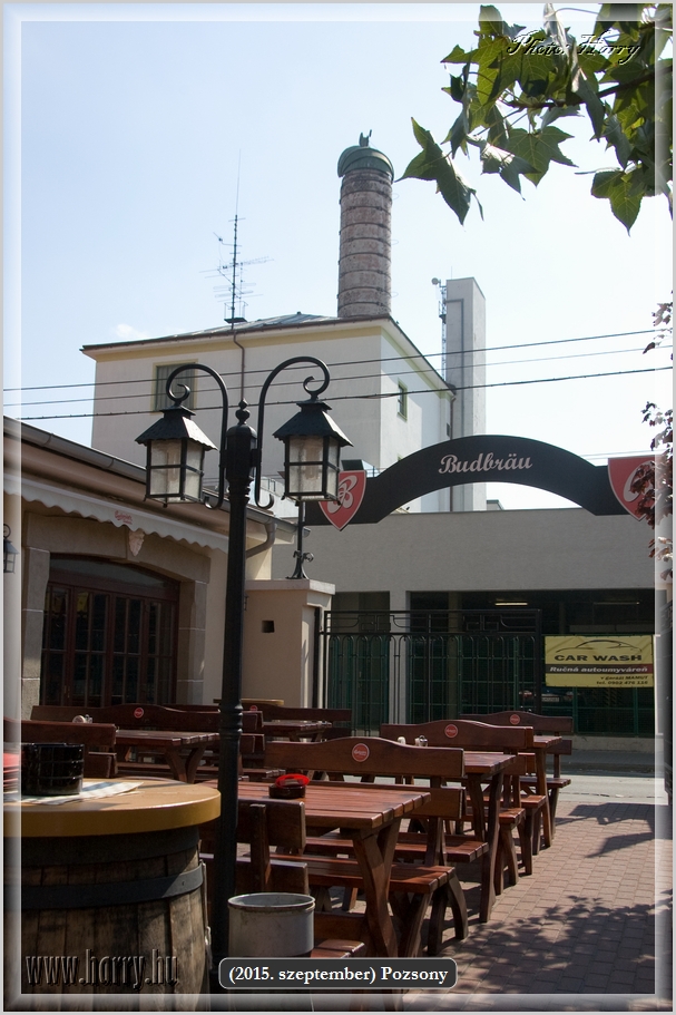 134.jpg