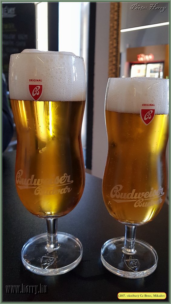 (2017.10.29-31.)Brno_Mikulov-005.jpg