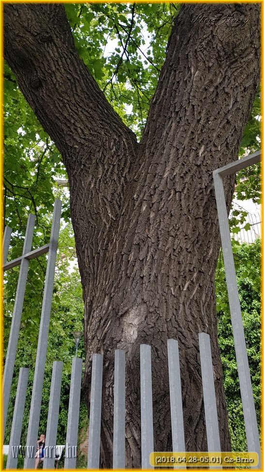 (2018.04.28-05.01)Cz-Brno-183.jpg