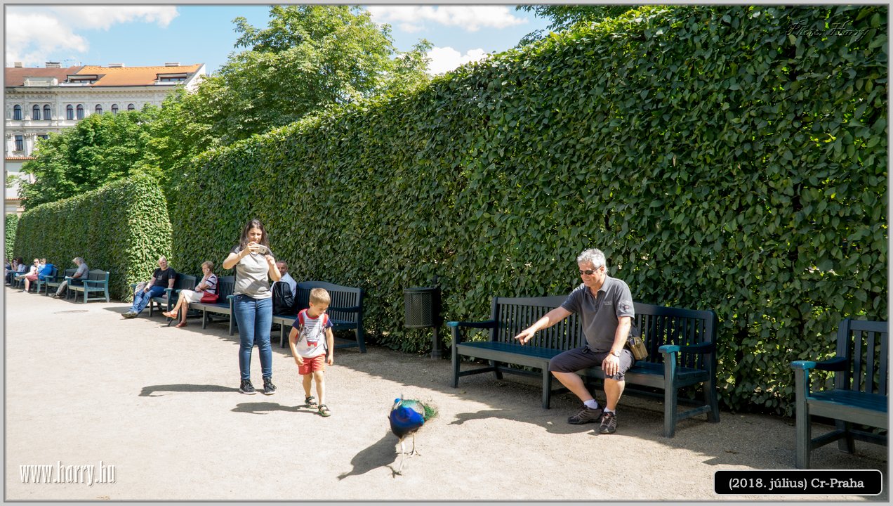 (2018.julius)Cz-Praga-251.jpg
