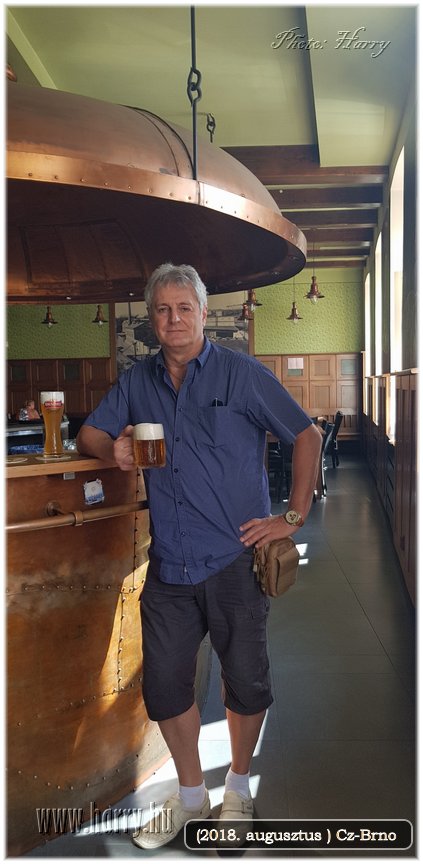 (2018.augusztus)Cz-Brno-006.jpg