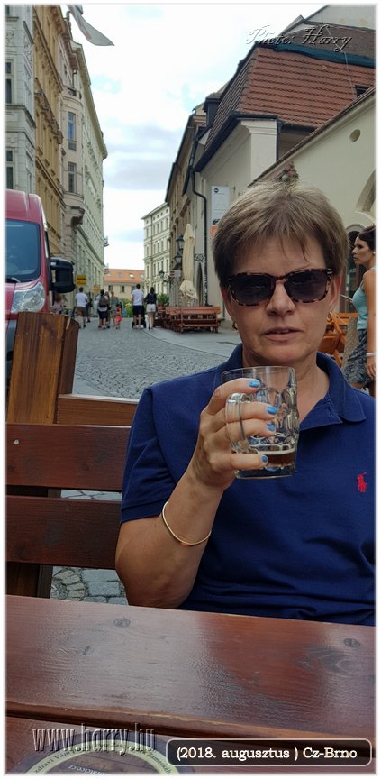 (2018.augusztus)Cz-Brno-013.jpg