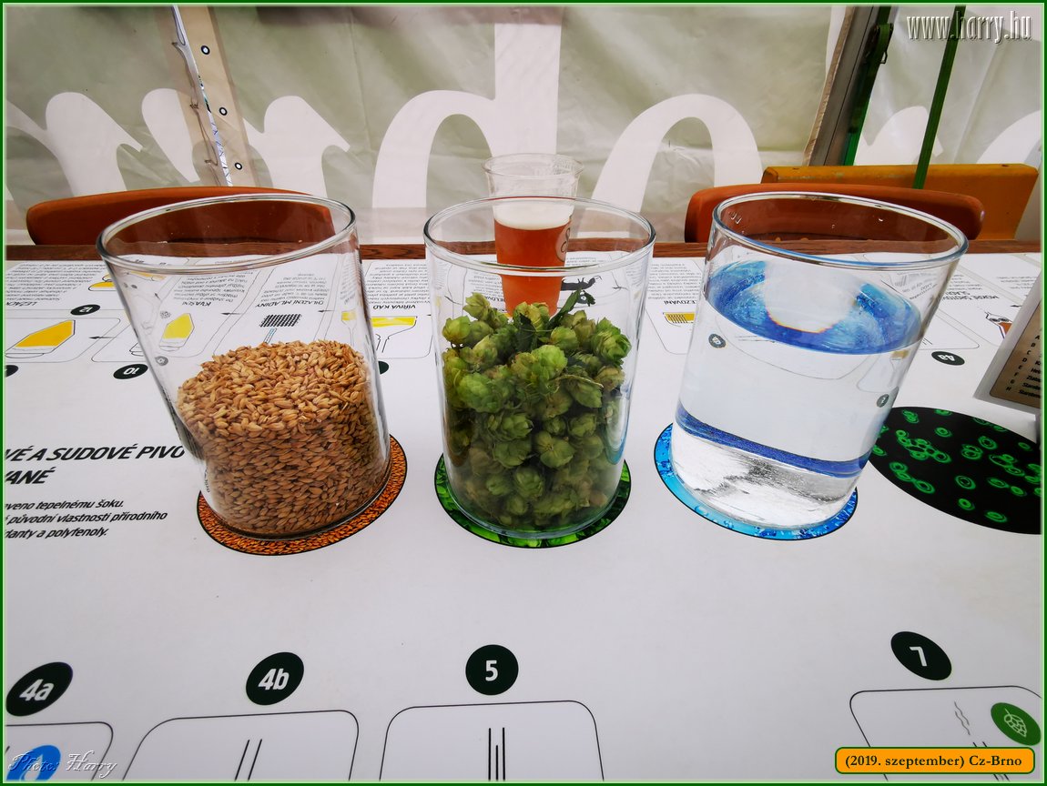 2019.szeptember-Cz-Brno-109.jpg