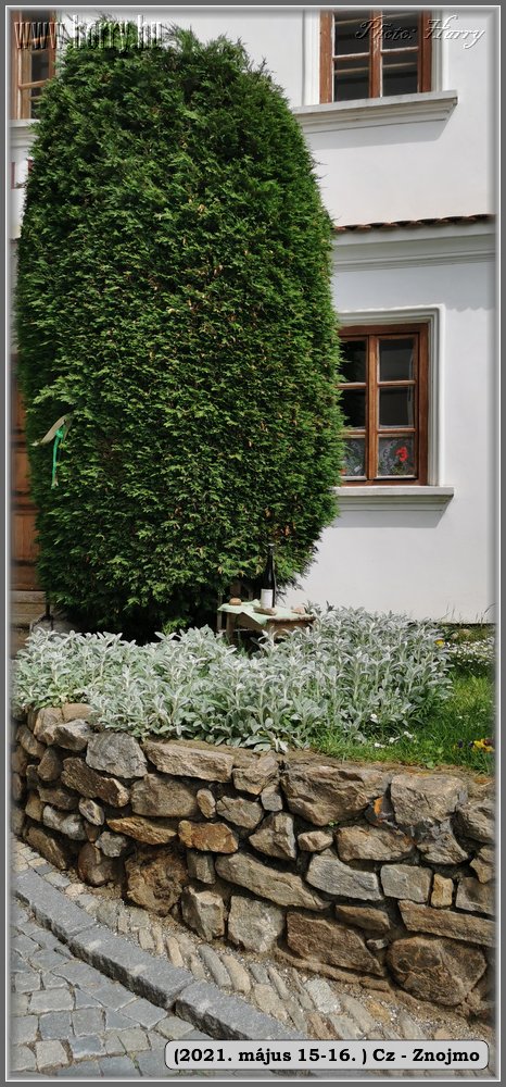 2021.05.15-16-Cz-Znojmo-006.jpg