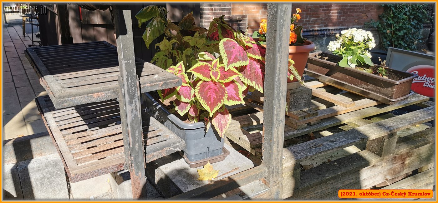 2021.oktober-Cz-Cesky_Krumlov-271.jpg