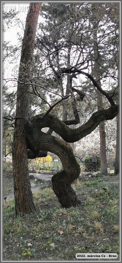2022.03-Cz-Brno-068.jpg