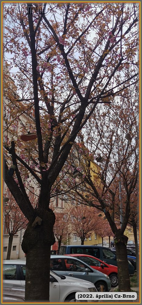 2022.04.-Cz-Brno-091.jpg