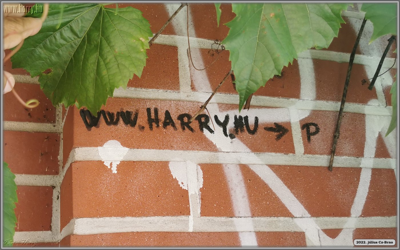 2022.07-Cz-Brno-076.jpg