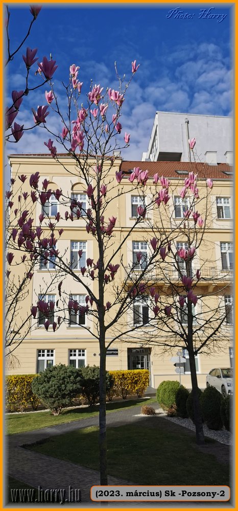 2023.03-Sk-Pozsony-72.jpg