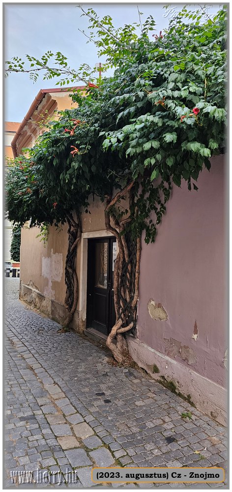 2023.08-Cz-Znojmo-097.jpg
