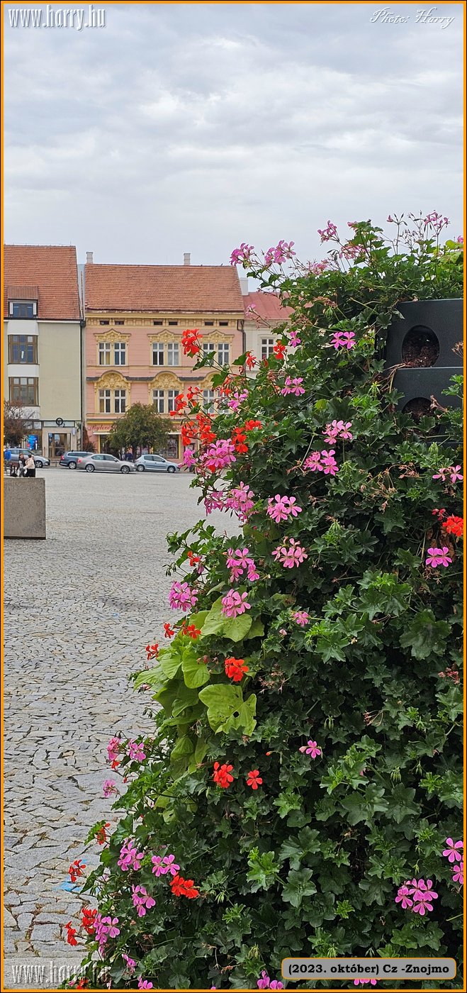 2023.10-Cz-Znojmo-159.jpg