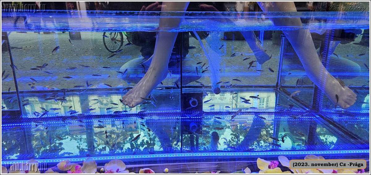 2023.11-Cz-Praga-080.jpg