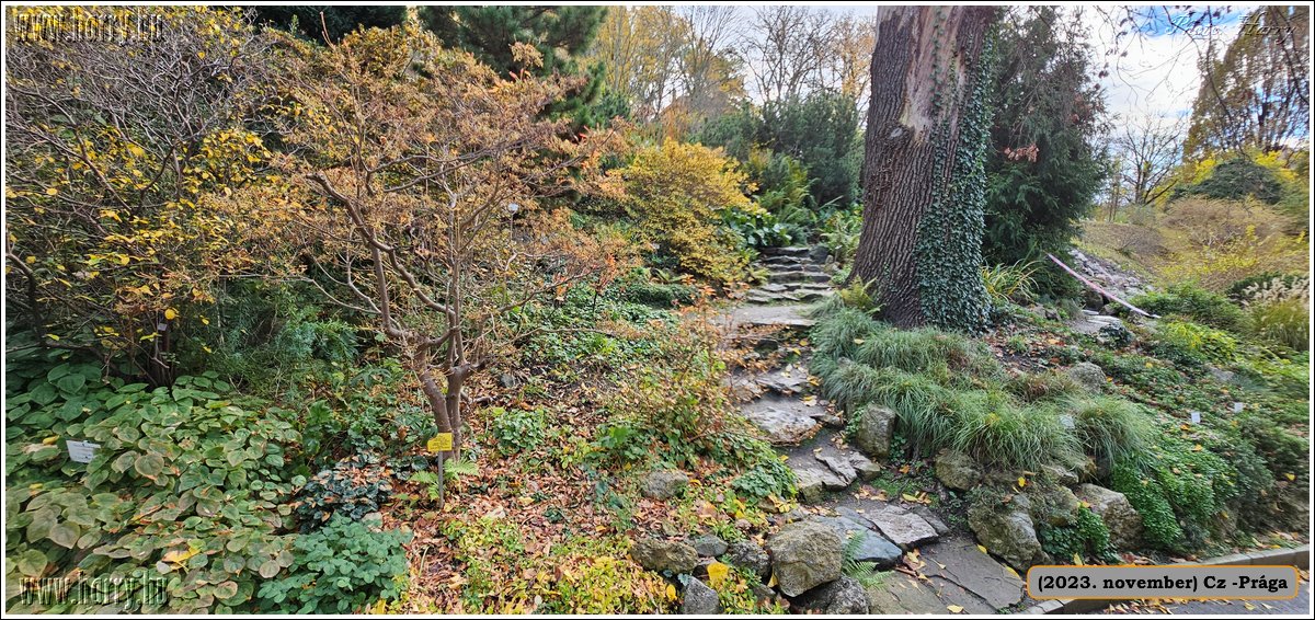 2023.11-Cz-Praga-347.jpg