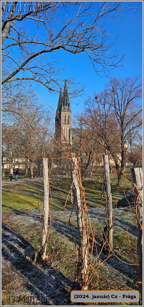 2024.01-Cz-Praga-308.jpg