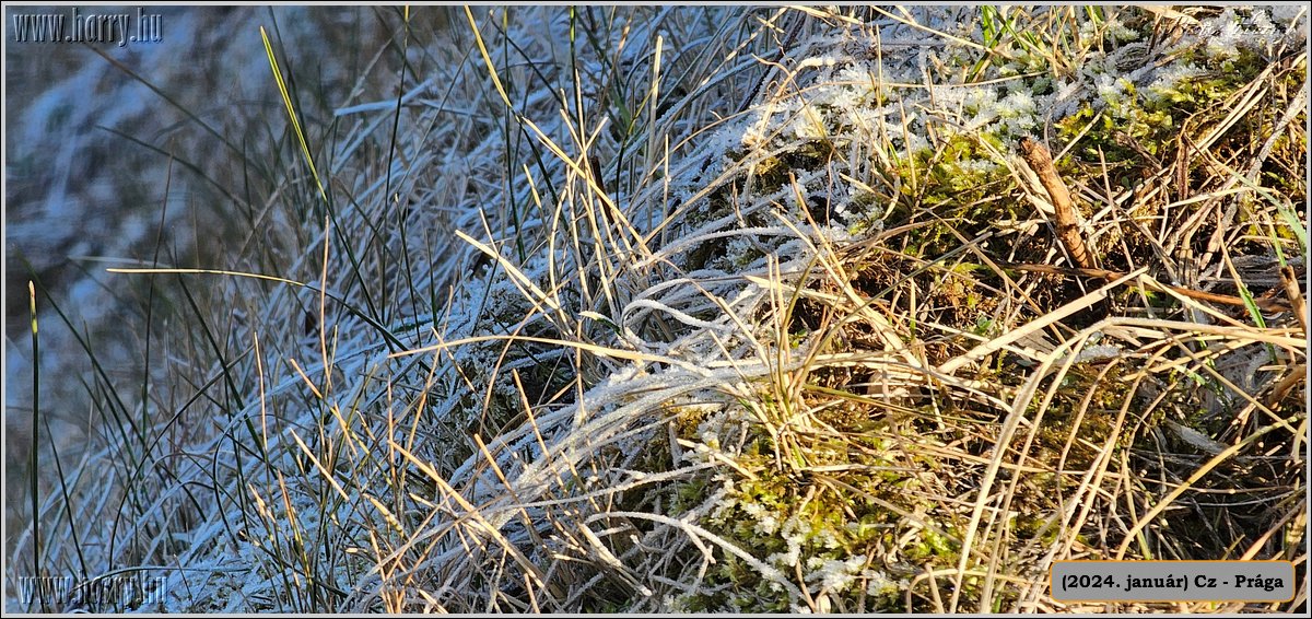 2024.01-Cz-Praga-320.jpg