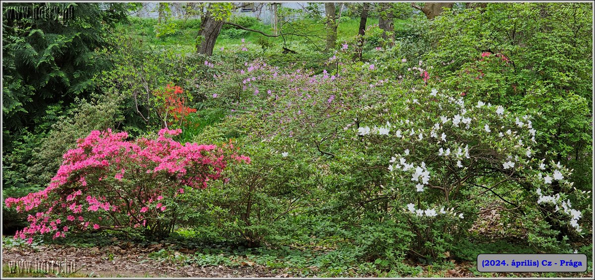 2024.04-Cz-Praga-078.jpg