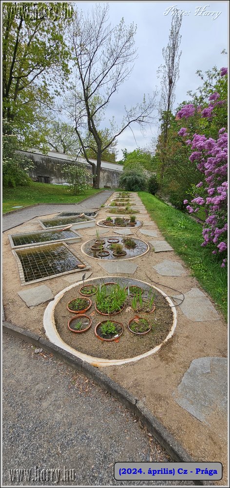 2024.04-Cz-Praga-087.jpg