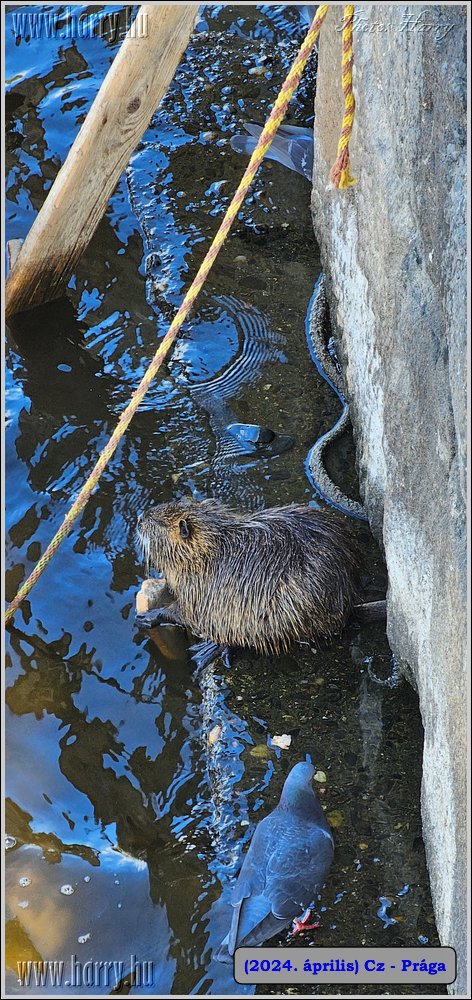 2024.04-Cz-Praga-209.jpg