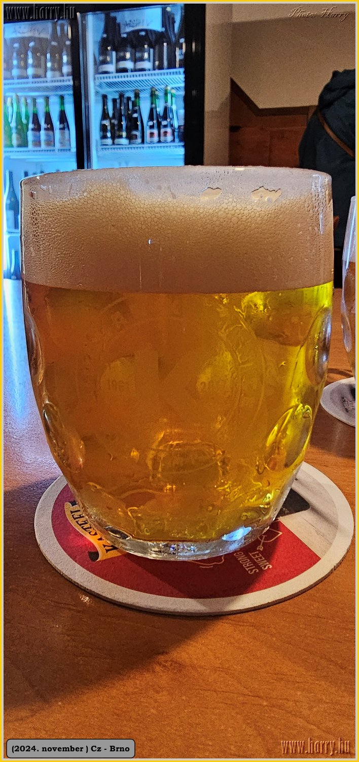2024.11-Cz-Brno-047.jpg