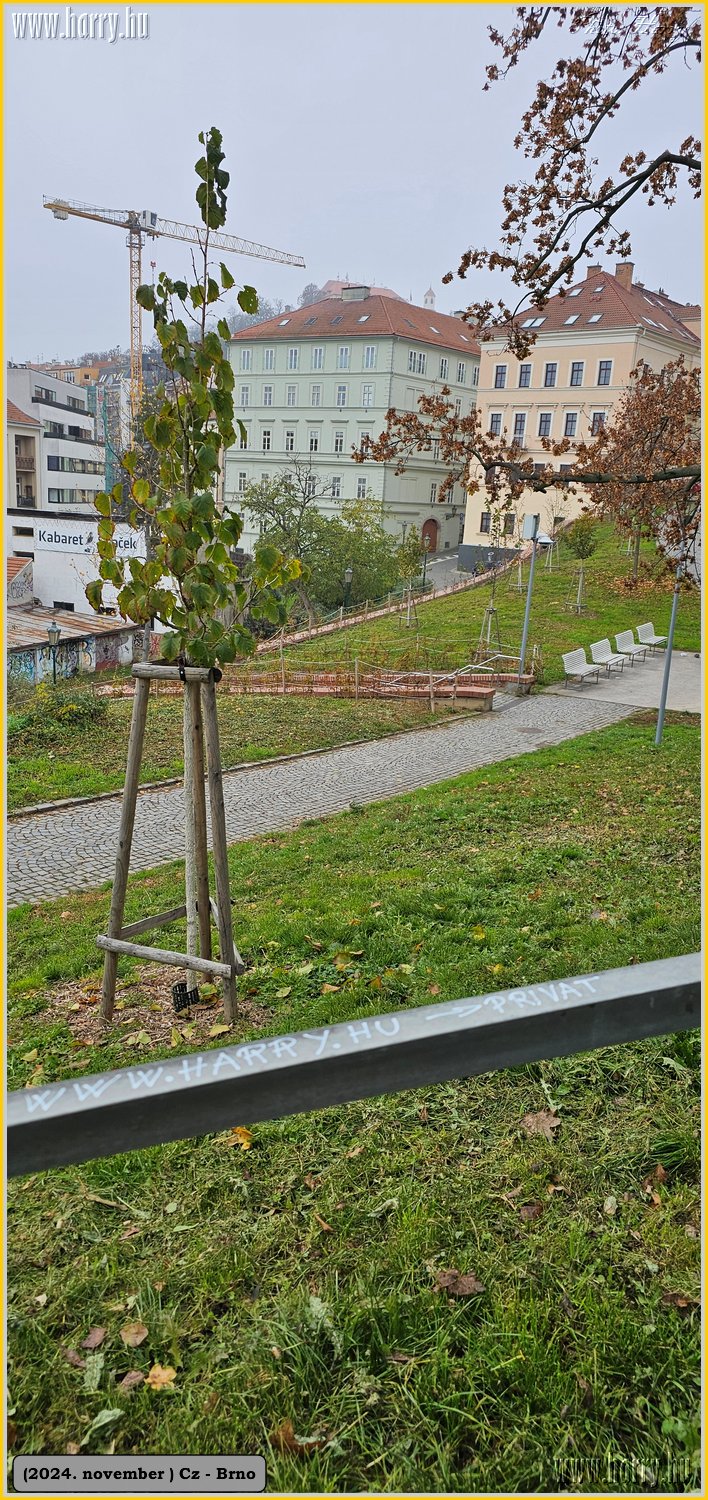2024.11-Cz-Brno-077.jpg