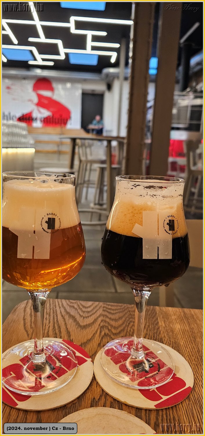 2024.11-Cz-Brno-107.jpg