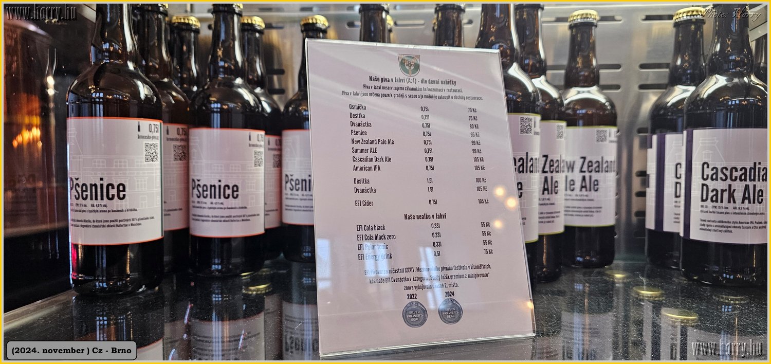 2024.11-Cz-Brno-155.jpg