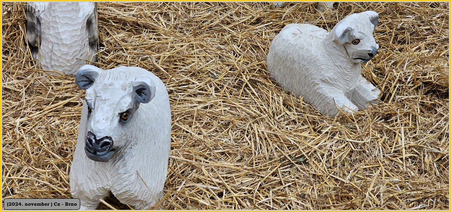 2024.11-Cz-Brno-195.jpg