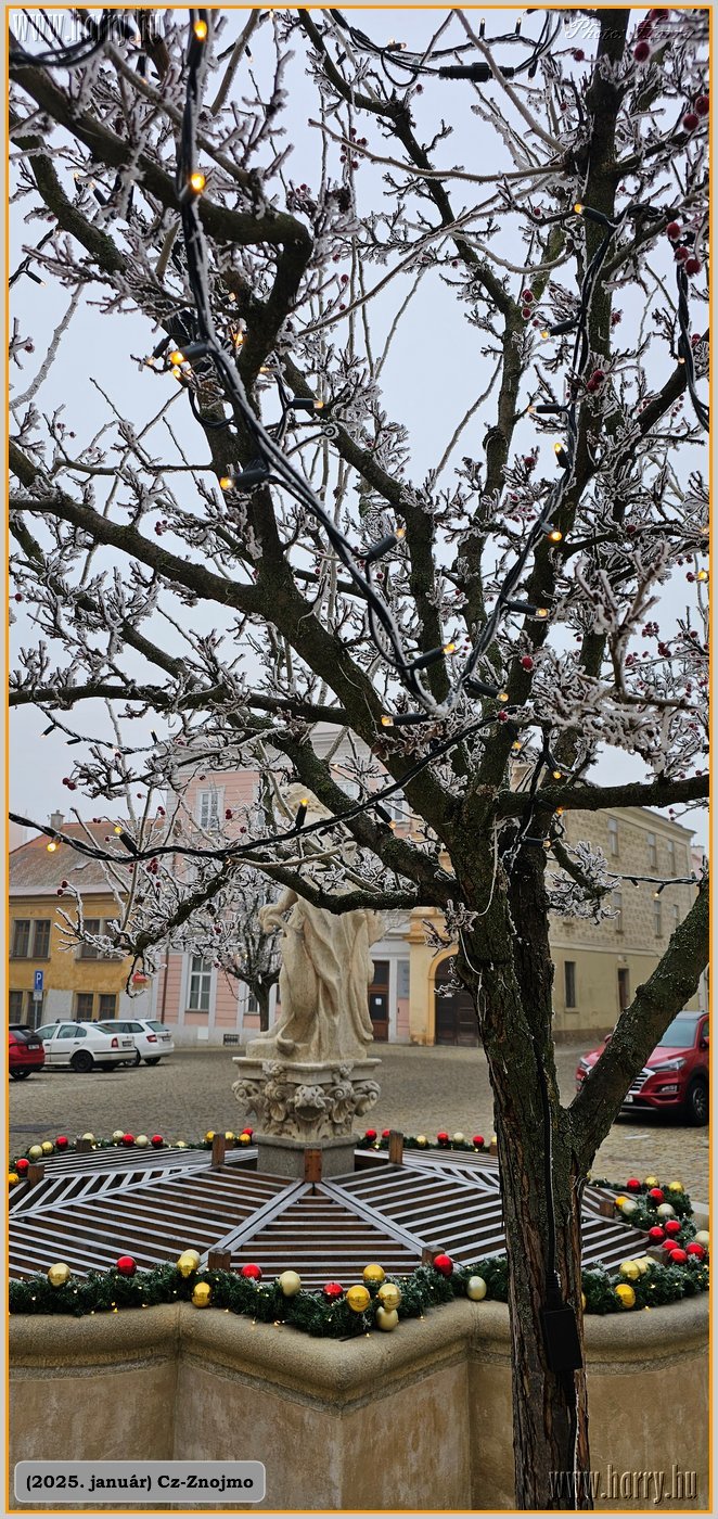 2025.01-Cz-Znojmo-004.jpg