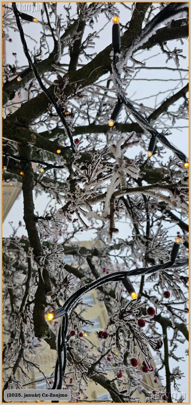 2025.01-Cz-Znojmo-005.jpg