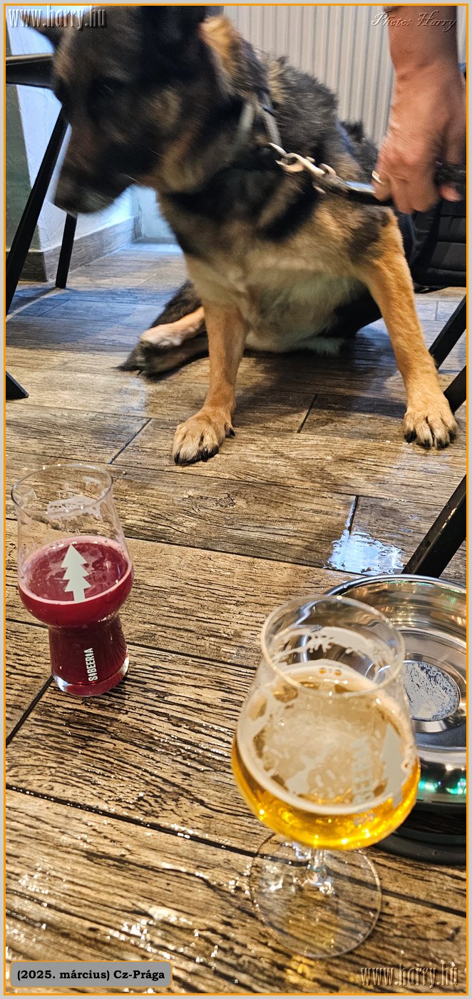 2025.03.-Cz-Praga-194.jpg