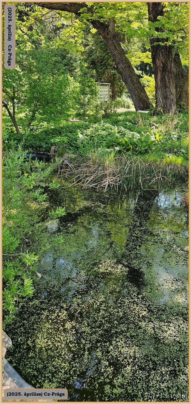 2025.04.-Cz-Praga-209.jpg