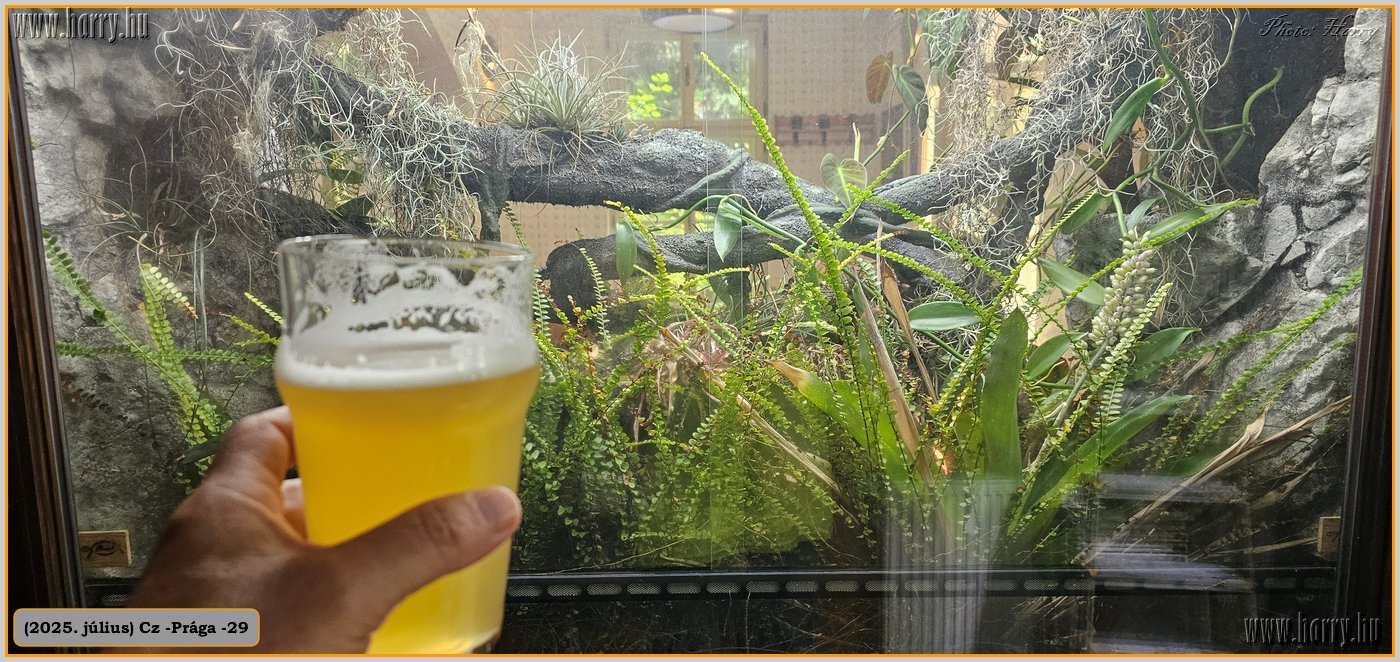2025.07.-Cz-Praga-29-100.jpg