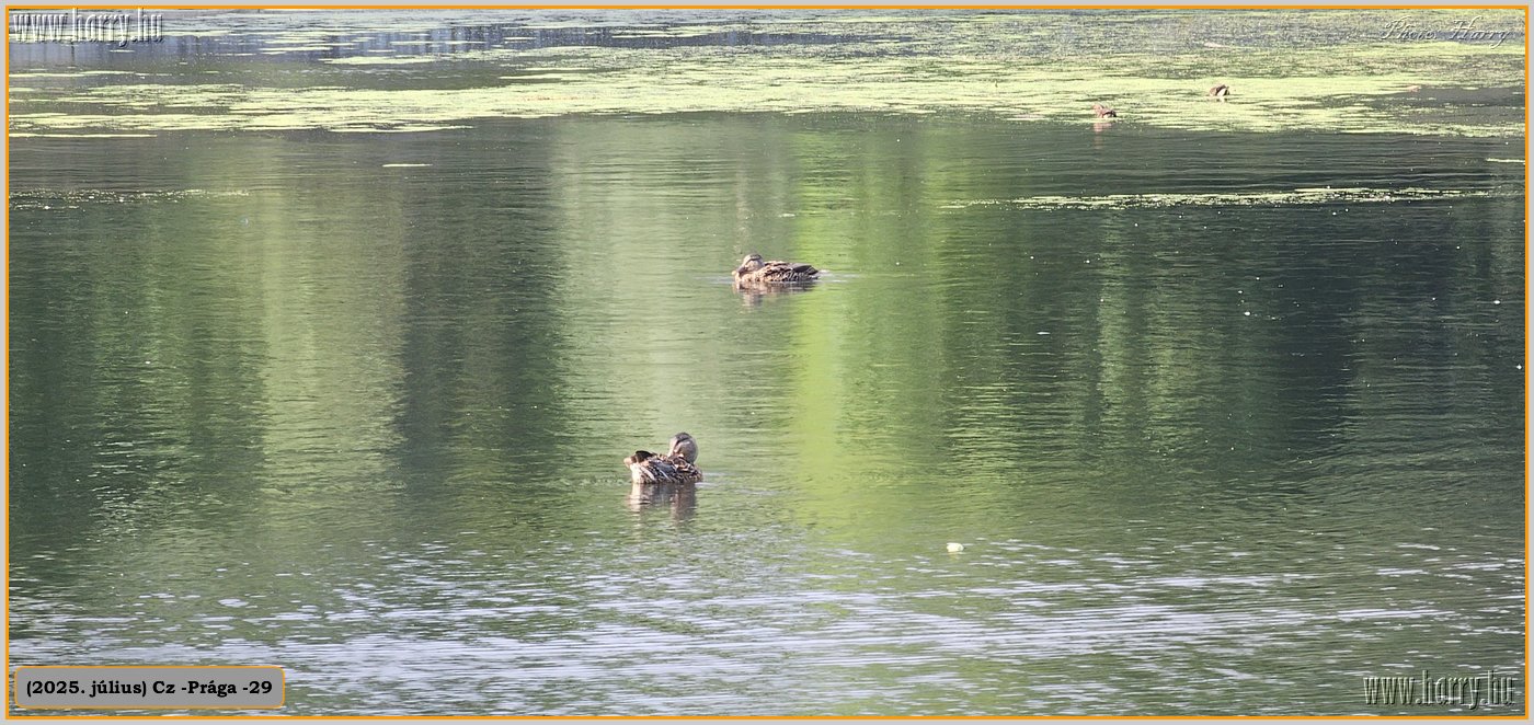 2025.07.-Cz-Praga-29-202.jpg