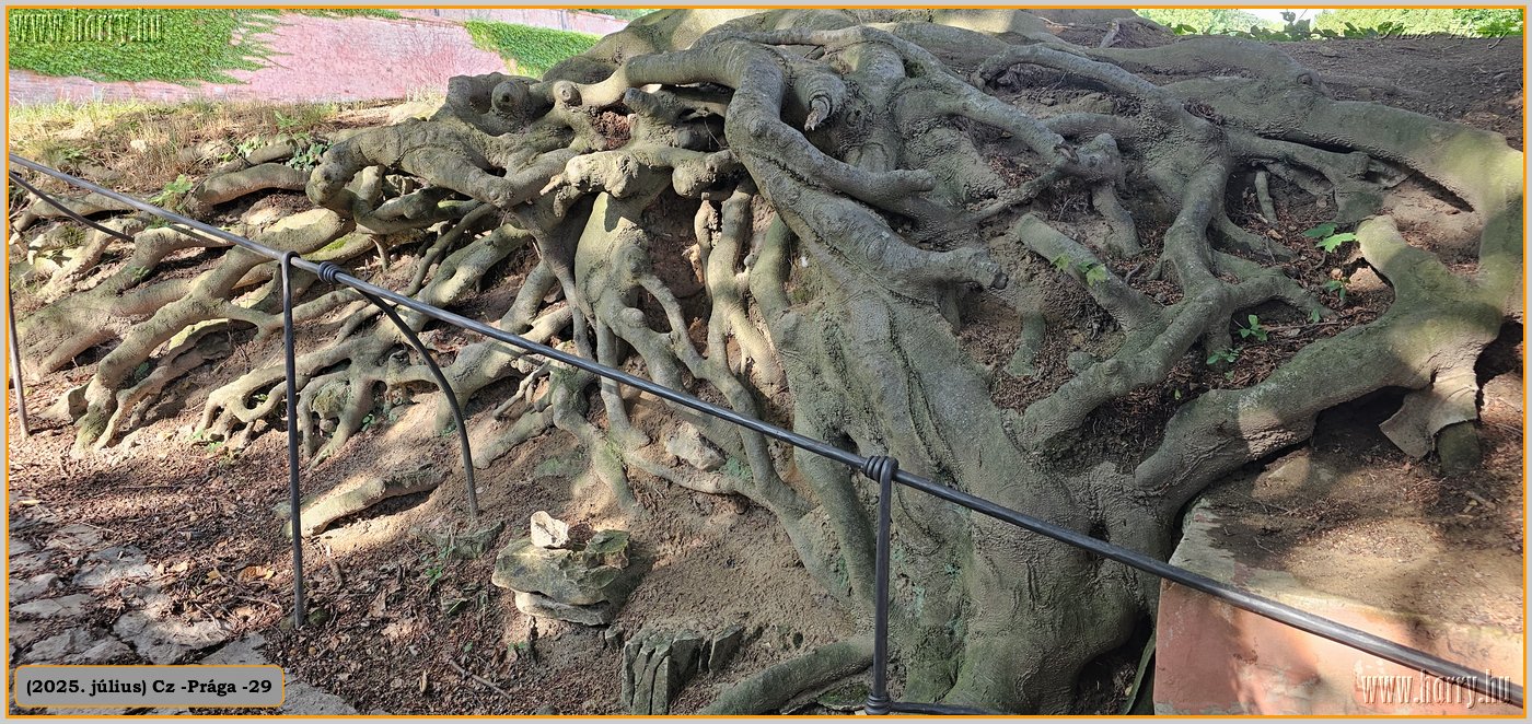2025.07.-Cz-Praga-29-207.jpg