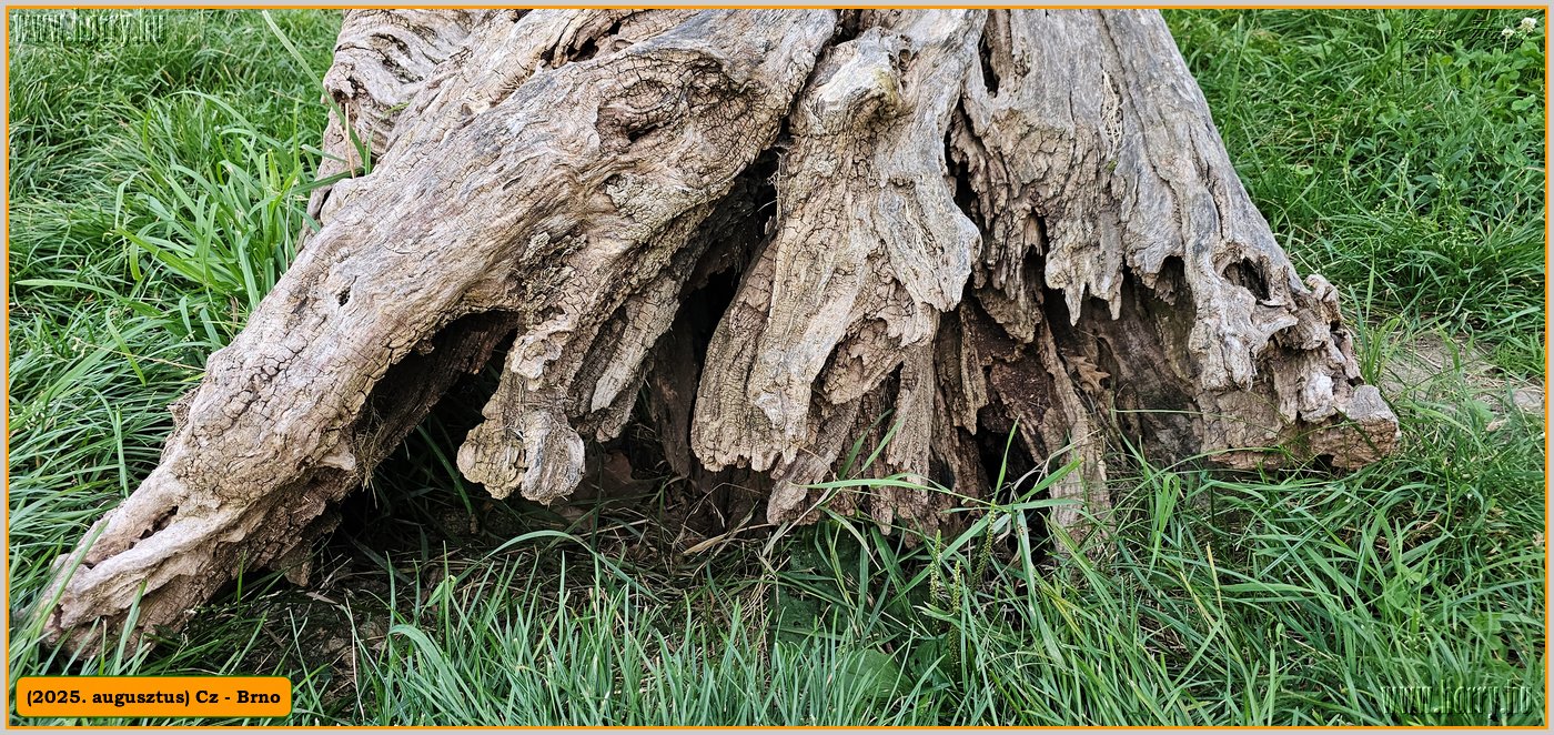 2025.08.-Cz-Brno-052.jpg