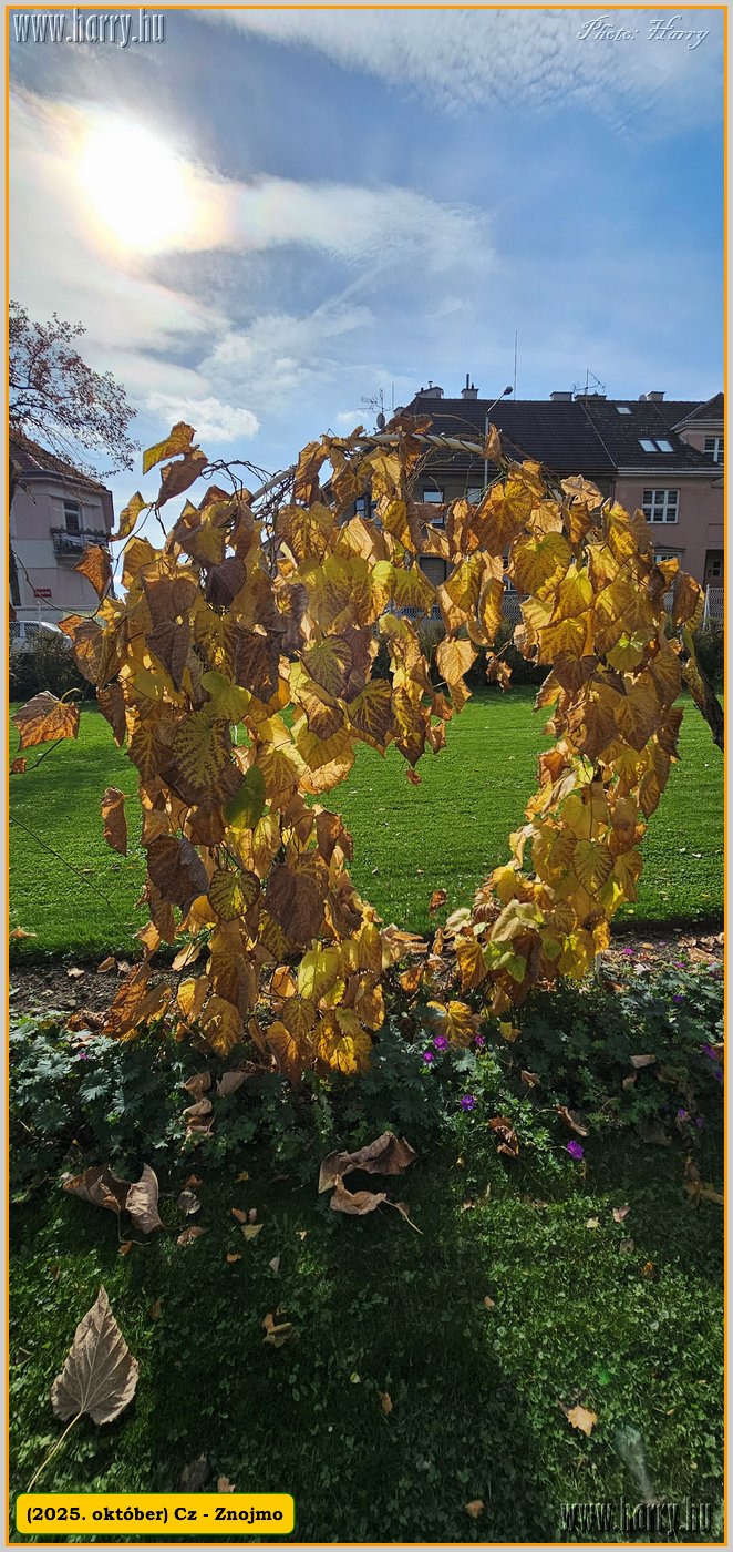 2025.10.-Cz-Znojmo-019.jpg