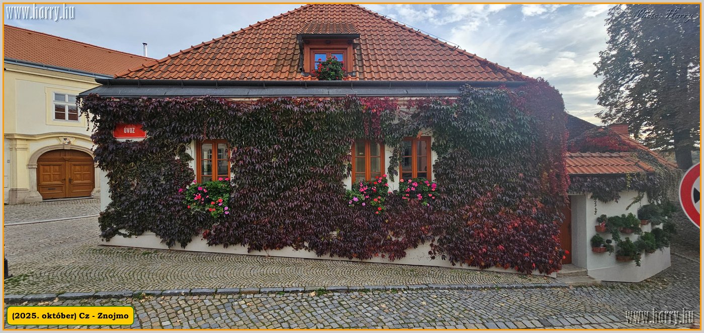 2025.10.-Cz-Znojmo-029.jpg