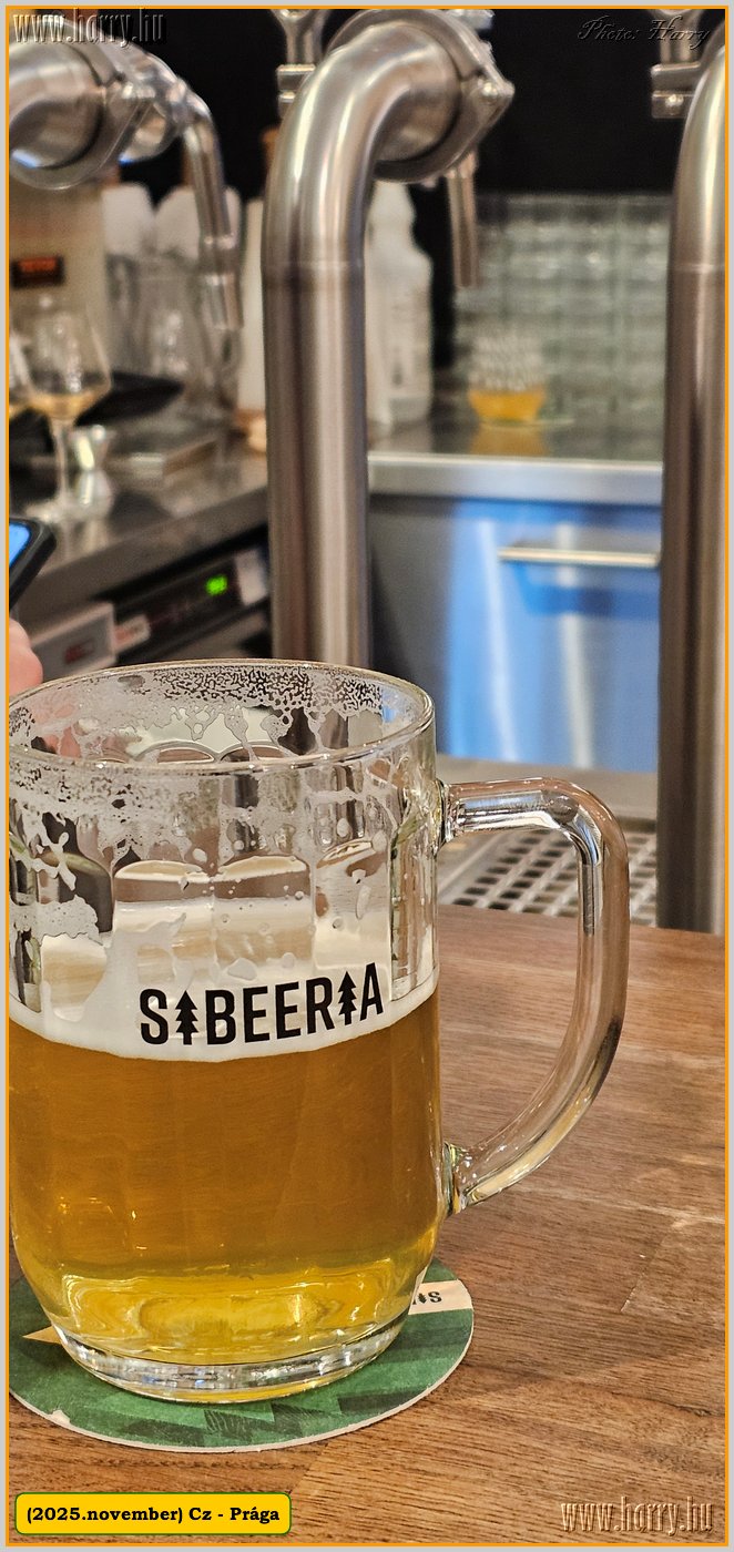2025.11.-Cz-Praga-134.jpg