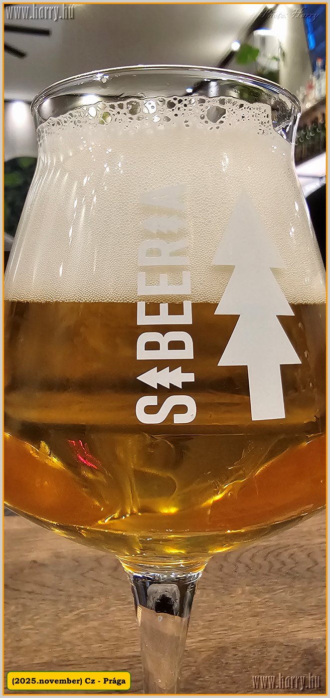 2025.11.-Cz-Praga-136.jpg
